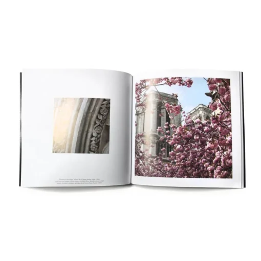 Livre Photos Notre-Dame de Paris REGARDS - GAZES - MIRADAS