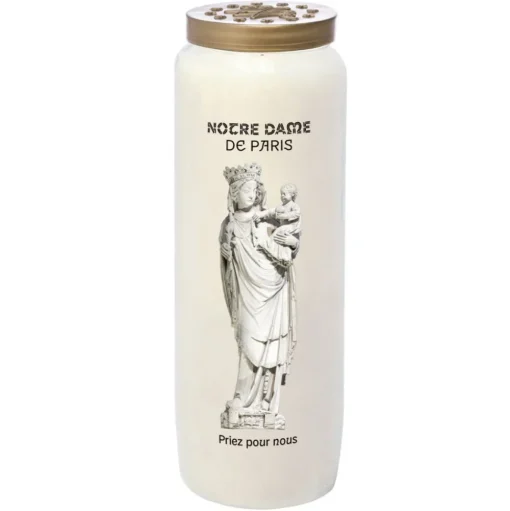 Neuvaine Notre Dame de Paris